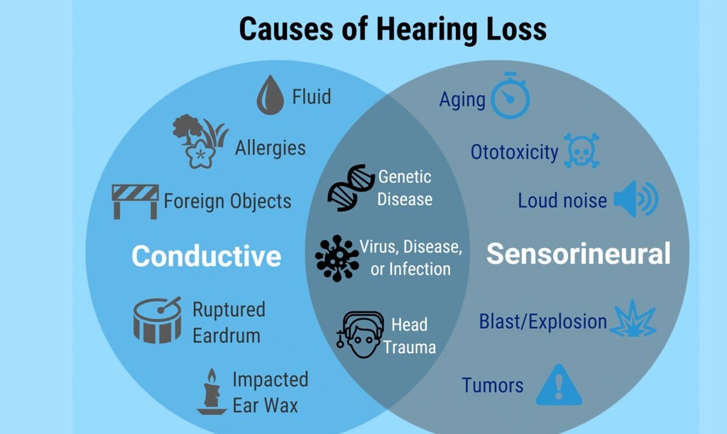 what causes hearing loss