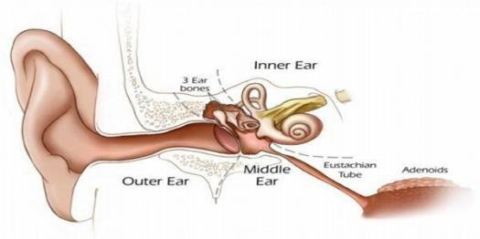 Hearing Aid Centre in Chennai